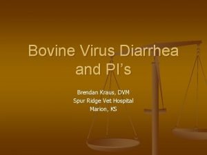 Bovine Virus Diarrhea and PIs Brendan Kraus DVM