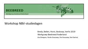 Workshop NBVstudiedagen Breda Beilen Horst Boskoop herfst 2019