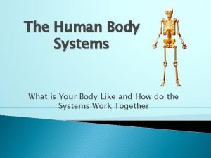 The Human Body Systems What is Your Body
