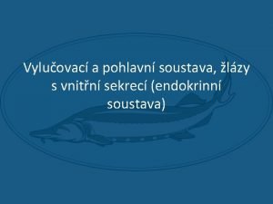 Vyluovac a pohlavn soustava lzy s vnitn sekrec