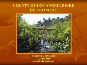 COUNTY OF LOS ANGELES FIRE DEPARTMENT FORESTRY DIVISION