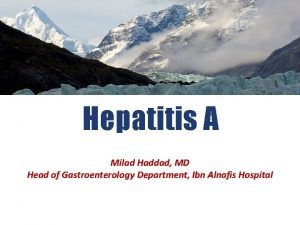 Hepatitis A Milad Haddad MD Head of Gastroenterology
