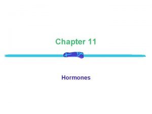 What produces adh What produces adh