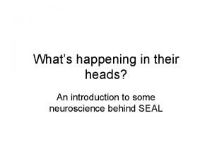 Whats happening in their heads An introduction to