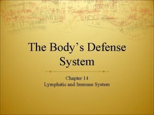 The Bodys Defense System Chapter 14 Lymphatic and