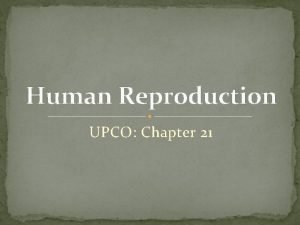 Chapter 21 human reproduction
