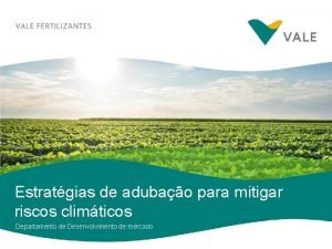 Estratgias de adubao para mitigar riscos climticos Departamento