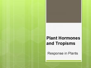 Plant Hormones and Tropisms Response in Plants TROPISM