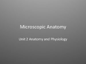 Microscopic Anatomy Unit 2 Anatomy and Physiology Cells