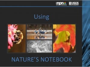 Using NATURES NOTEBOOK PLANT Leaves Flowers Fruits Observable