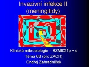 Invazivn infekce II meningitidy Klinick mikrobiologie BZMI 021