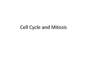 Cell Cycle and Mitosis Chromosomes Genetic information is