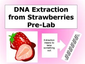 DNA Extraction from Strawberries PreLab Extraction means to