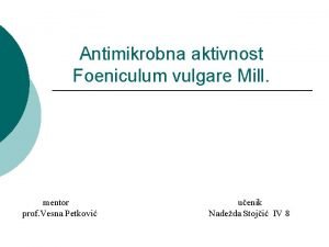 Antimikrobna aktivnost Foeniculum vulgare Mill mentor prof Vesna