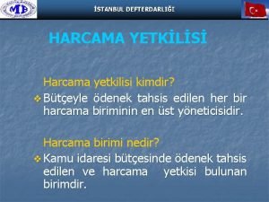 Harcama yetkilisi nedir