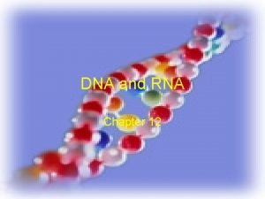 DNA and RNA Chapter 12 Hereditary Material Genes