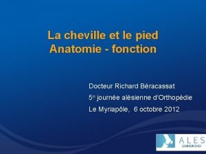 La cheville et le pied Anatomie fonction Docteur