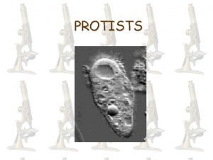 PROTISTS Protists Protists Unicellular eukaryotic organisms Over 115