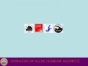 Micropaleontologic investigations of harbour sediments in the Baltic