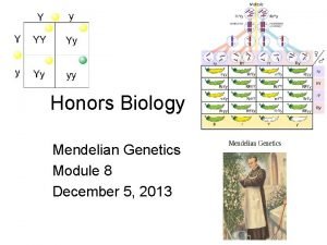 Honors Biology Mendelian Genetics Module 8 December 5