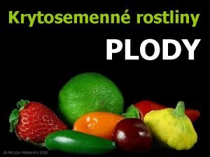 Krytosemenn rostliny PLODY Miroslav Maleninsk 2008 Plody jsou