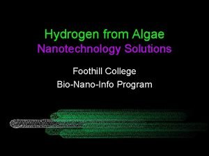 Hydrogen from Algae Nanotechnology Solutions Foothill College BioNanoInfo