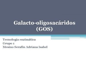 Galactooligosacridos GOS Tecnologa enzimtica Grupo 1 Mesino Serafn