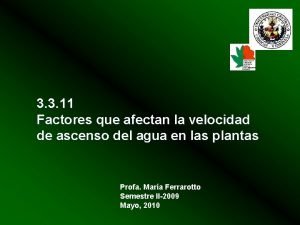 3 3 11 Factores que afectan la velocidad