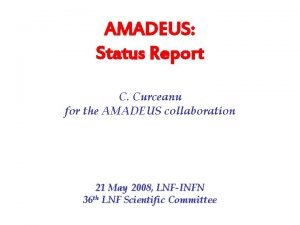 AMADEUS Status Report C Curceanu for the AMADEUS