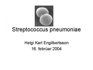 Streptococcus pneumoniae Helgi Karl Engilbertsson 16 febrar 2004