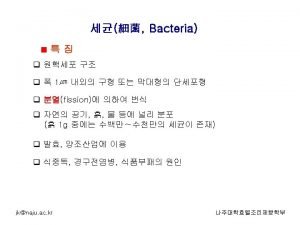 q jknaju ac kr Bacillus Serratia Bacillus Leuconostoc