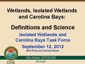 Wetlands Isolated Wetlands and Carolina Bays Definitions and