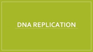 DNA REPLICATION 5 2 Notes DNA Replication Purpose