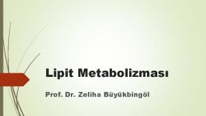 Lipit Metabolizmas Prof Dr Zeliha Bykbingl Ya Asitleri