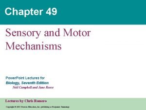 Chapter 49 Sensory and Motor Mechanisms Power Point