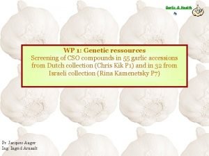 Garlic Health P 5 WP 1 Genetic ressources