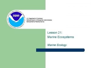 Lesson 21 Marine Ecosystems Marine Ecology Life in