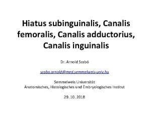 Canalis inguinalis anatomy