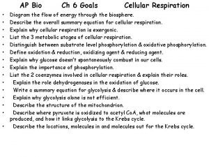 Cellular respiration diagram ap bio