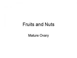 Fruits and Nuts Mature Ovary Biology What is