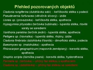 Pehled pozorovanch objekt Cladonia rangiferina dutohlvka sob kekovit