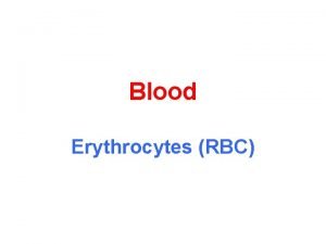 Blood Erythrocytes RBC Blood Smear with Erythrocytes Red