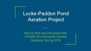 Locke paddon park