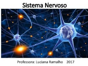 Sistema Nervoso Professora Luciana Ramalho 2017 Introduo O