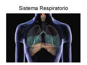 Ipossia Ipossia