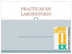 PRACTICAS EN LABORATORIO CARLOS VIZCAINO HERNANDEZ INDICE DEFINICIN