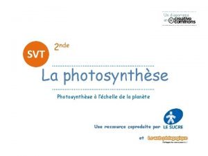 Photosynthse