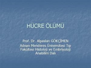 Alpaslan gökçimen