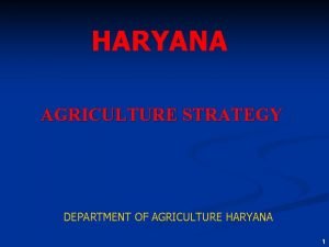 HARYANA AGRICULTURE STRATEGY DEPARTMENT OF AGRICULTURE HARYANA 1