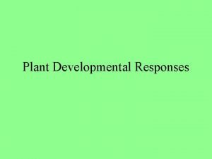 Plant Developmental Responses Phototropism positive Gravitropism negative positive